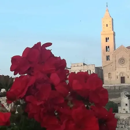 Il Corbezzolo *
