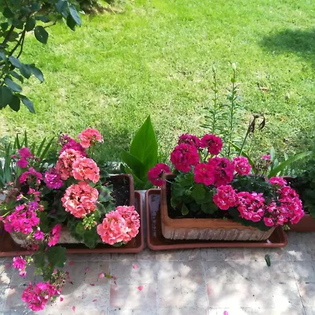 Holiday home Il Corbezzolo