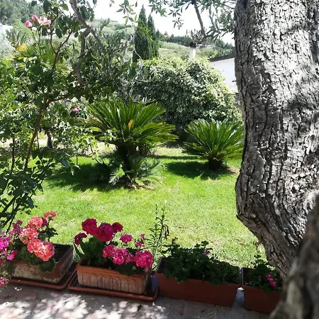 Il Corbezzolo מטרה