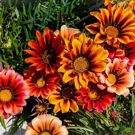 Il Corbezzolo Сasa de vacaciones