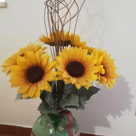 Il Corbezzolo Сasa de vacaciones Matera