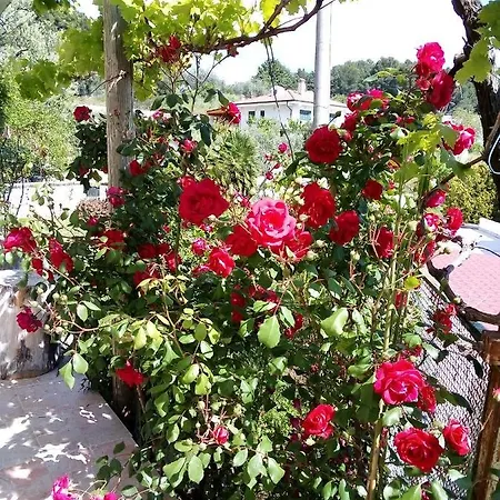 Holiday home Il Corbezzolo *