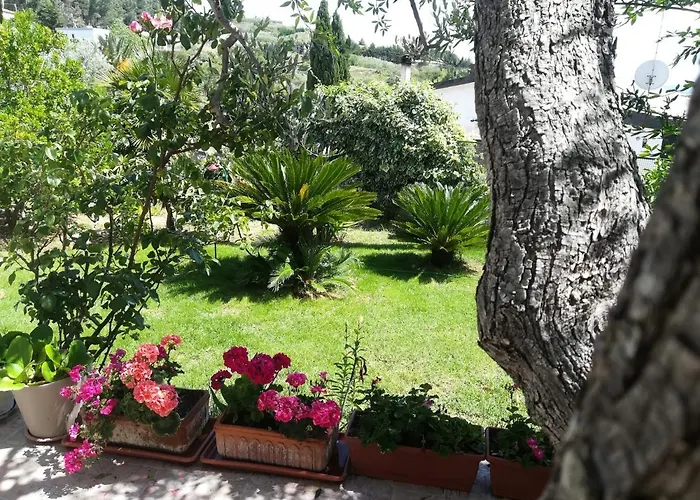 Il Corbezzolo Matera