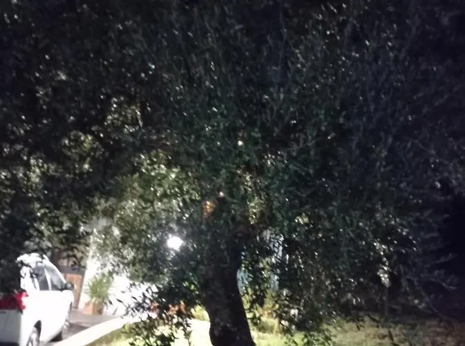 Il Corbezzolo Casa vacanze *