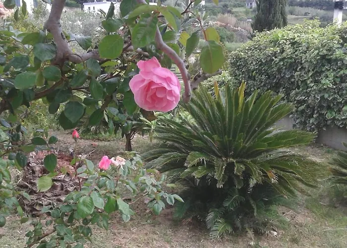 Il Corbezzolo Hébergement de vacances *