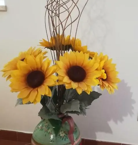 Il Corbezzolo Hébergement de vacances Matera